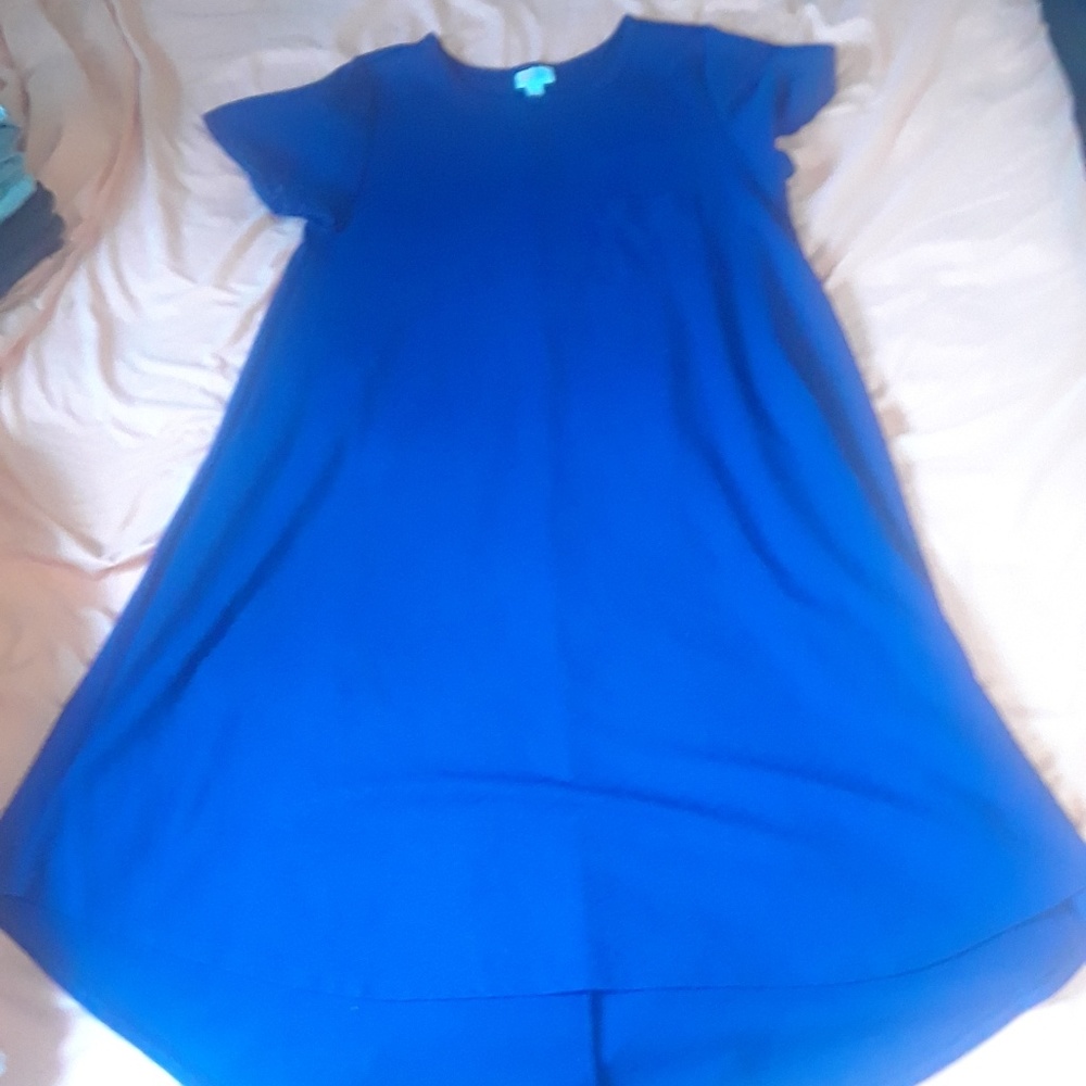 Gently used lularoe carly large